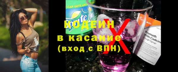 дмт Инсар