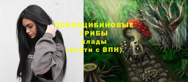 твердый Инта