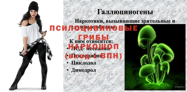 твердый Инта